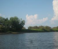 Новгородская область, Старорусский район Участок №9