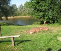 г. Старая Русса Участок №28