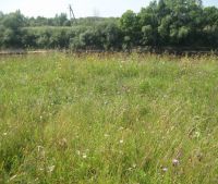 г. Старая Русса Участок №31