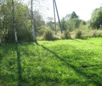 Новгородская область, Старорусский район Участок №41