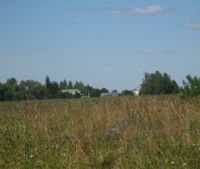 Новгородская область, Старорусский район Участок №43