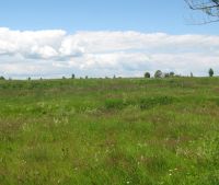 Новгородская область, Старорусский район Участок №46