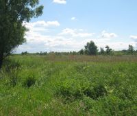 Новгородская область, Старорусский район Участок №46