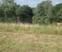 Новгородская область, Старорусский район Участок №47