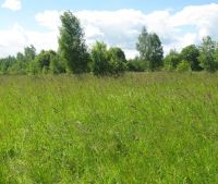 Новгородская область, Старорусский район, д. Гарижа Участок №48