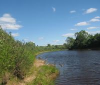 Новгородская область, Старорусский район, д. Кондратово Участок №53