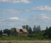 Новгородская область, Старорусский район, д. Кочериново Участок №56