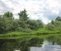 г. Старая Русса Участок №62