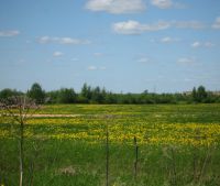 г. Старая Русса Участок №75