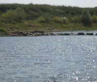 г. Старая Русса Участок №84