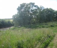 г. Старая Русса Участок №90