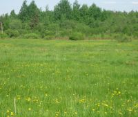 г. Старая Русса Участок №98