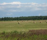 Новгородская область, Старорусский район Участок №102