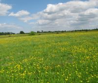 Новгородская область, Старорусский район Участок №105