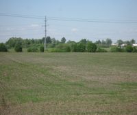 Новгородская область, Старорусский район Участок №106