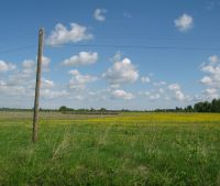 Новгородская область, Старорусский район Участок №108