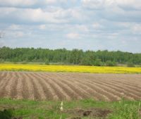 Новгородская область, Старорусский район Участок №114