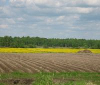 Новгородская область, Старорусский район Участок №114