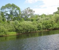 Новгородская область, Старорусский район Участок №117