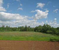 Новгородская область, Старорусский район Участок №118