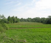 Новгородская область, Старорусский район Участок №121