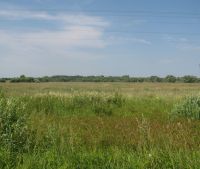 Новгородская область, Старорусский район Участок №125