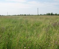 Новгородская область, Старорусский район Участок №129