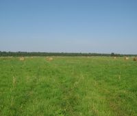 Новгородская область, Старорусский район Участок №130