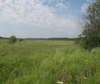 Новгородская область, Старорусский район Участок №134