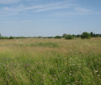 Новгородская область, Старорусский район Участок №135