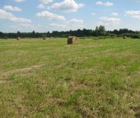 Новгородская область, Старорусский район Участок №136