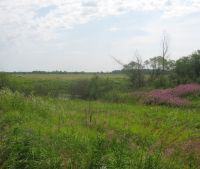 Новгородская область, Старорусский район Участок №136