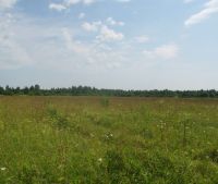 Новгородская область, Старорусский район Участок №138