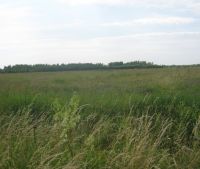 Новгородская область, Старорусский район Участок №139