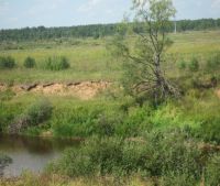 Новгородская область, Старорусский район Участок №139