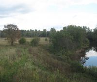 Новгородская область, Старорусский район Участок №140