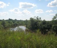 Новгородская область, Старорусский район Участок №141