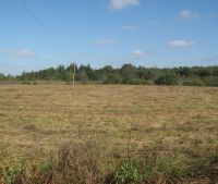 Новгородская область, Старорусский район Участок №141