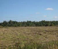 Новгородская область, Старорусский район Участок №143