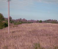 Новгородская область, Старорусский район Участок №143