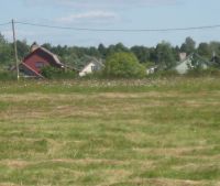 Новгородская область, Старорусский район, д. Кочериново Участок №169