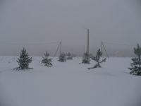 Ленинградская область Участок №189