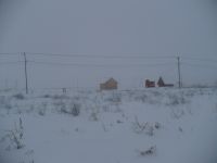 Ленинградская область Участок №194