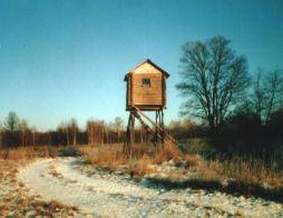 Охотничьи угодья