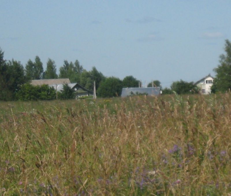 Фото земельного участка, в Новгородская области, в Старорусский районе - фото №2