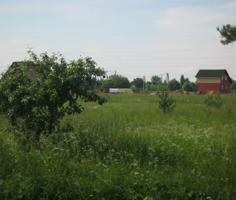 Фото земельного участка в Старая Русса - фото №4