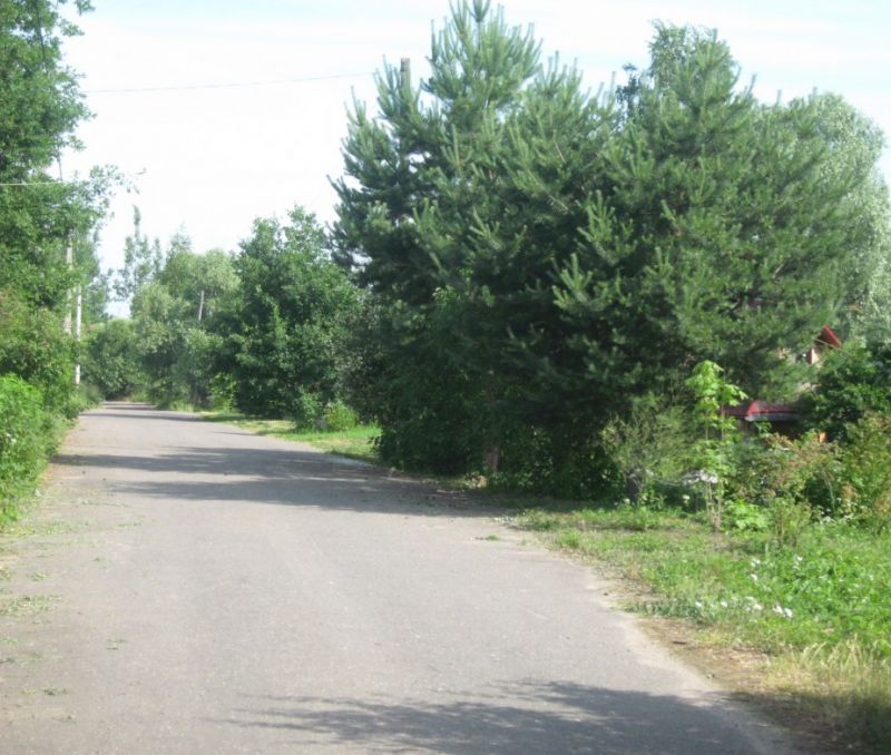Фото земельного участка в Старая Русса - фото №1