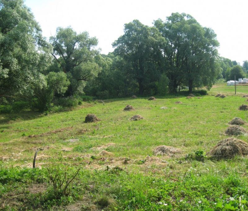 Фото земельного участка в Старая Русса - фото №3