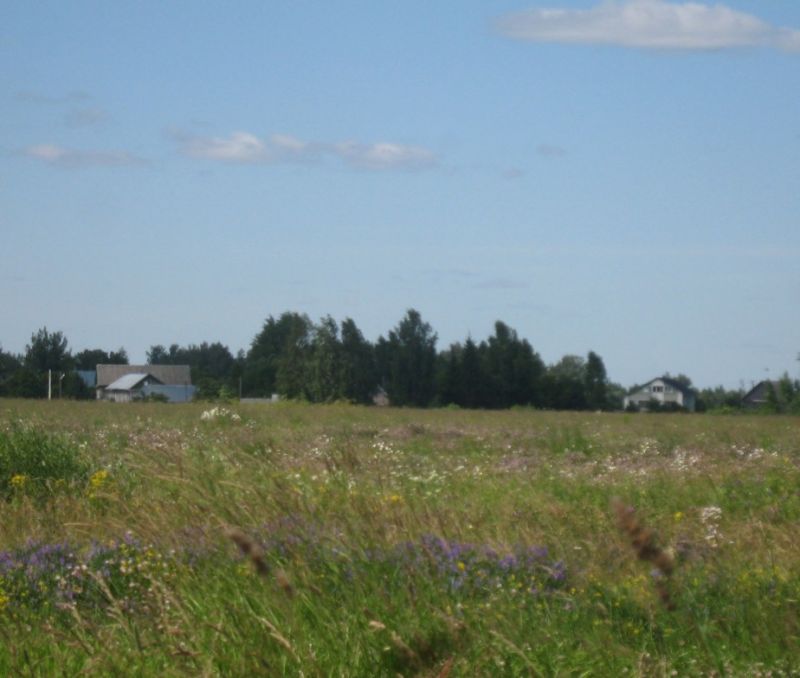 Фото земельного участка в Старая Русса - фото №5