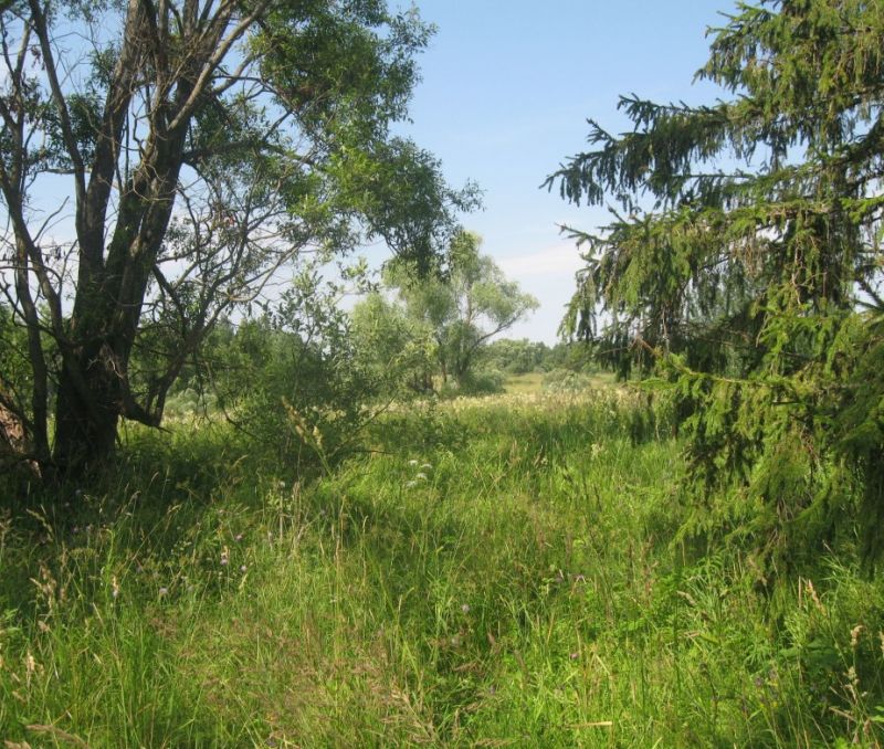 Фото земельного участка, в Новгородская области, в Старорусский районе - фото №12